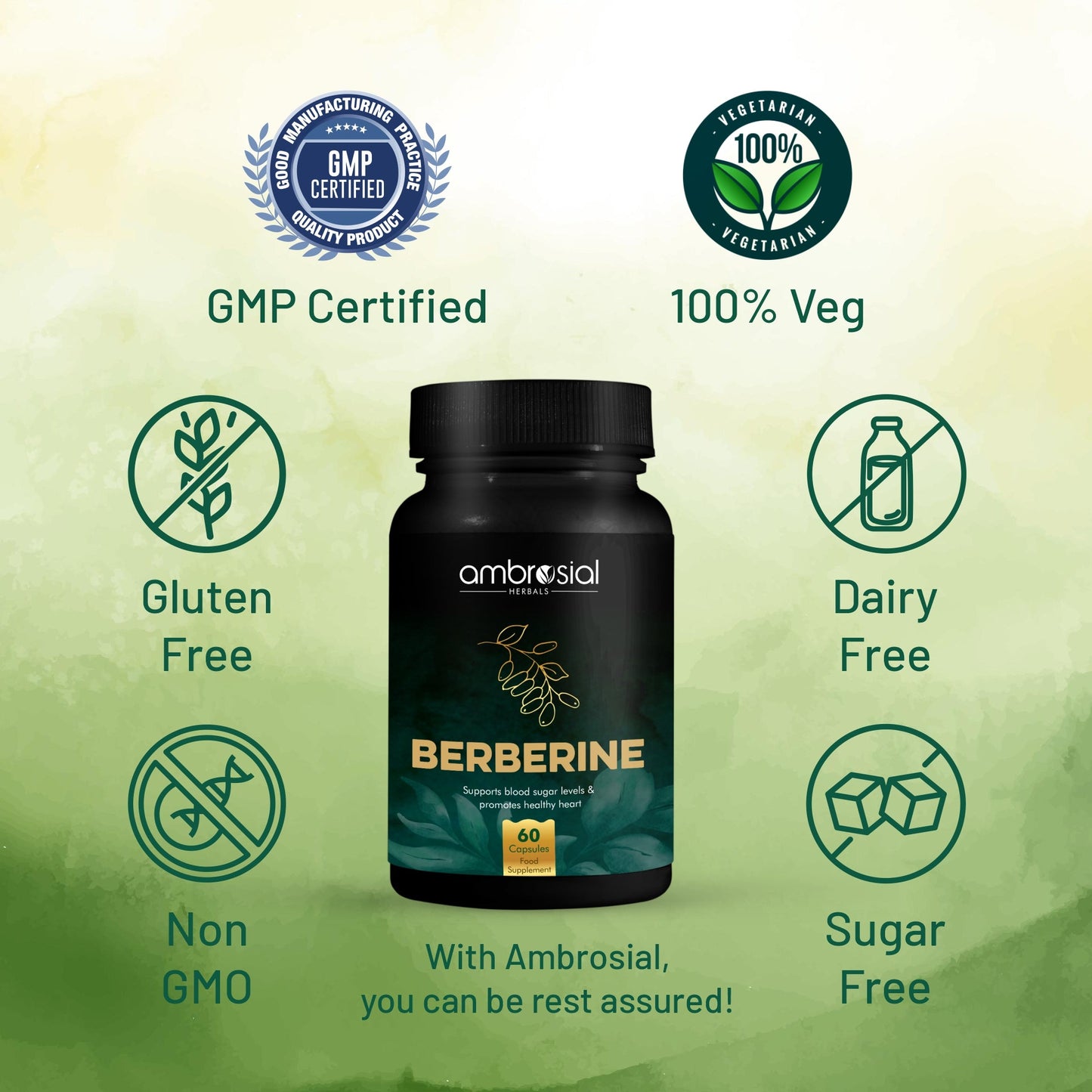 Berberine 500 mg