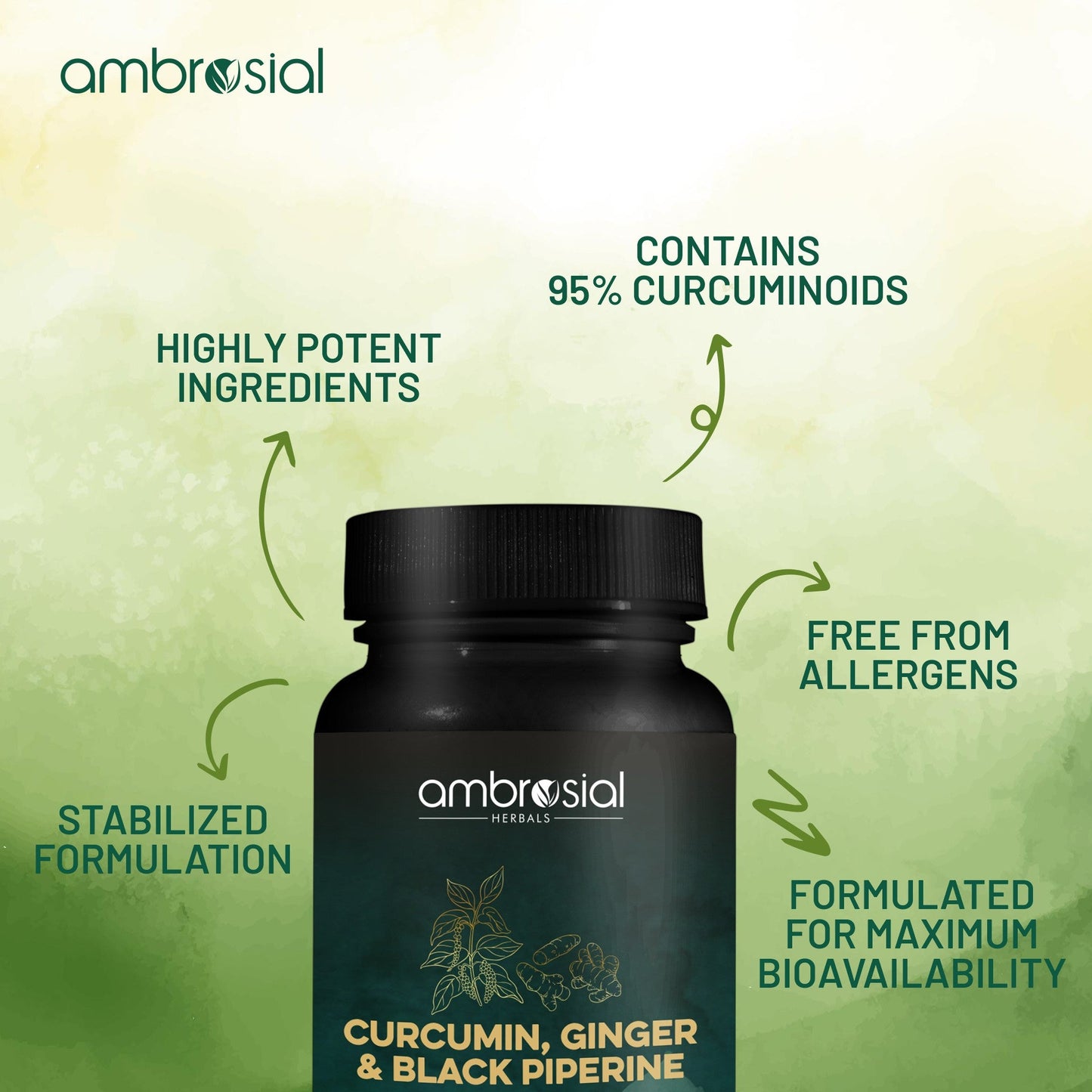 Curcumin, Ginger & Black Piperine