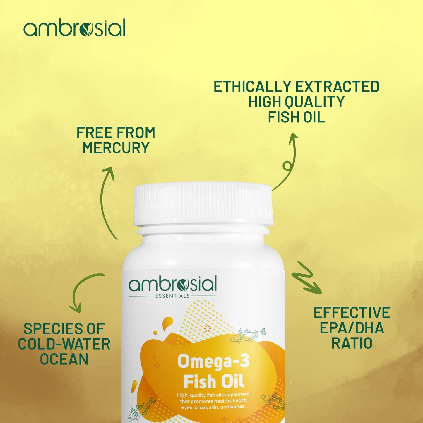 Omega 3 Fish Oil