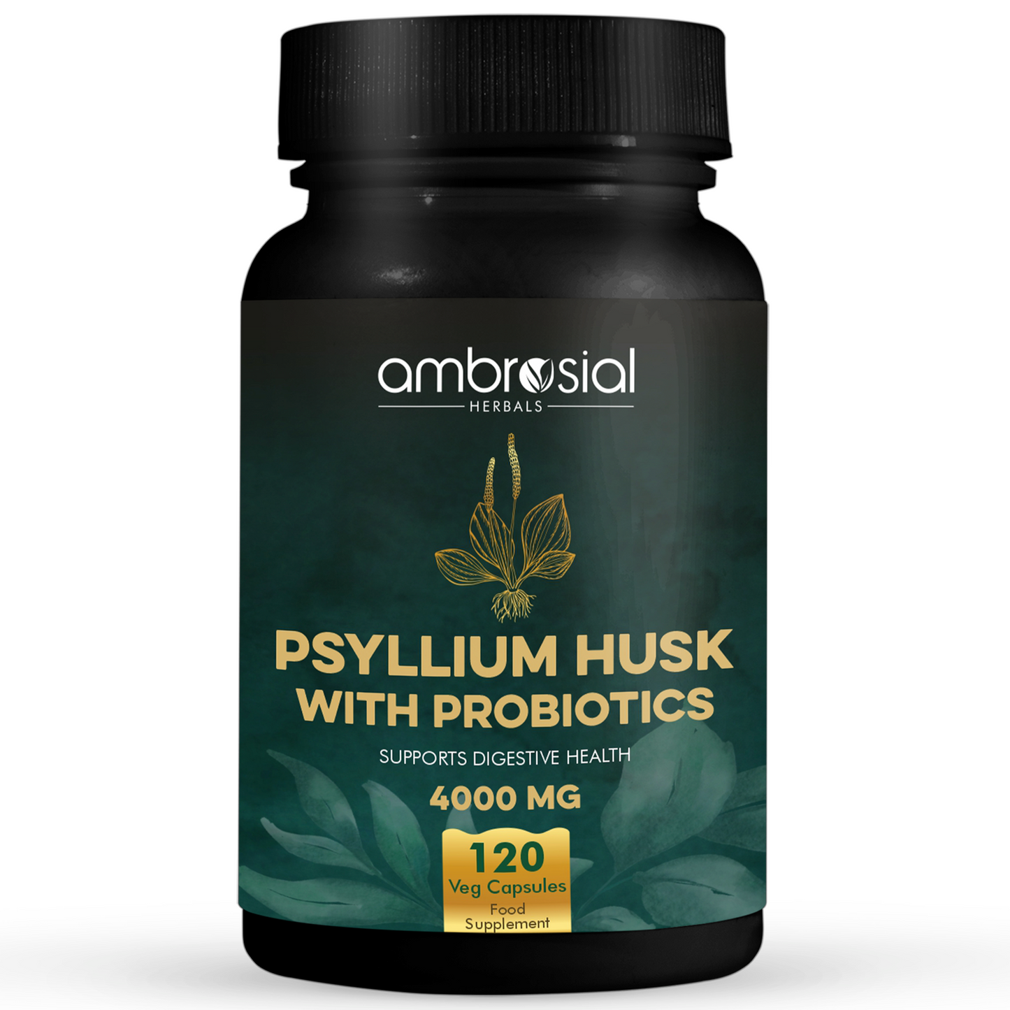 Psyllium Husk 4000mg with Probiotics