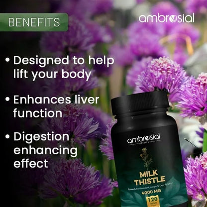 Ambrosial_Nutrifood_Milk_Thistle 