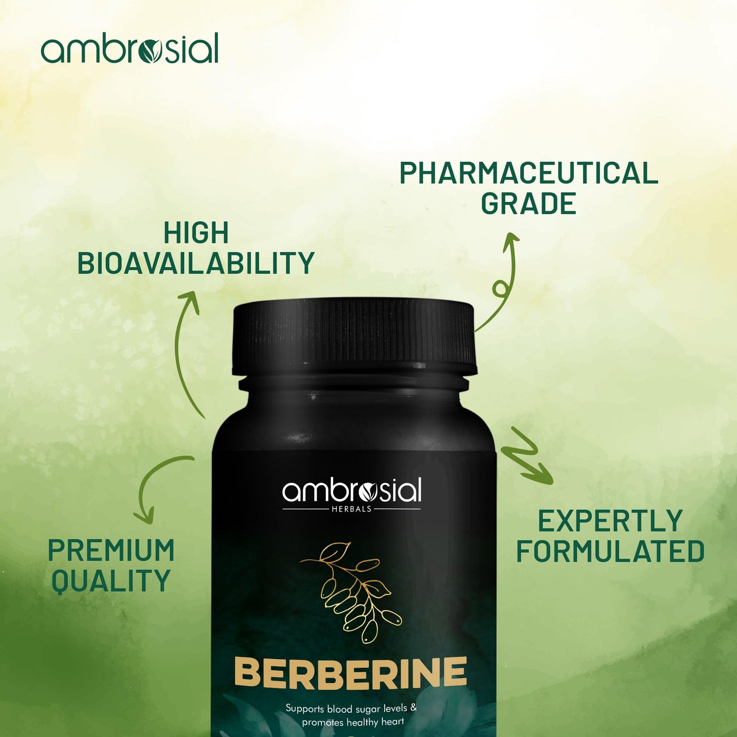 Berberine 500 mg