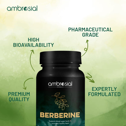 Berberine 500 mg
