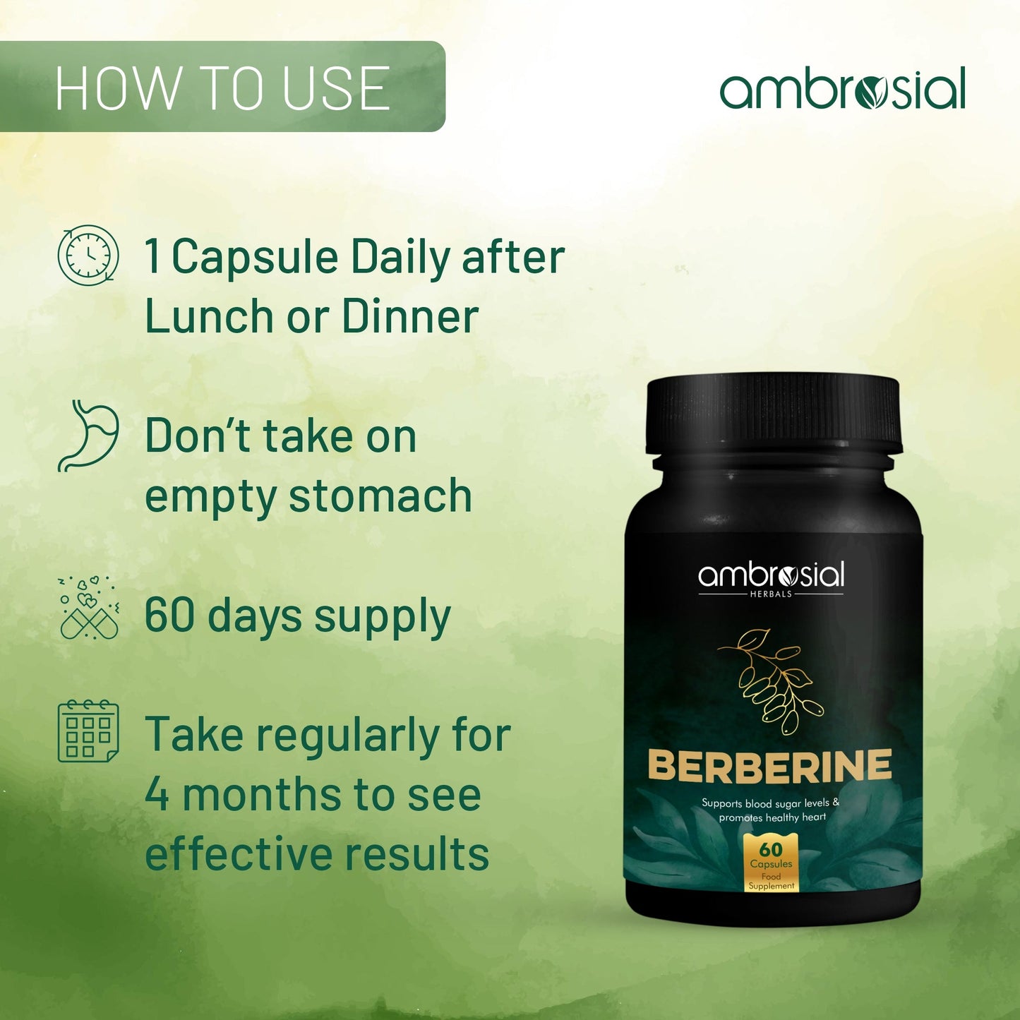 Berberine 500 mg