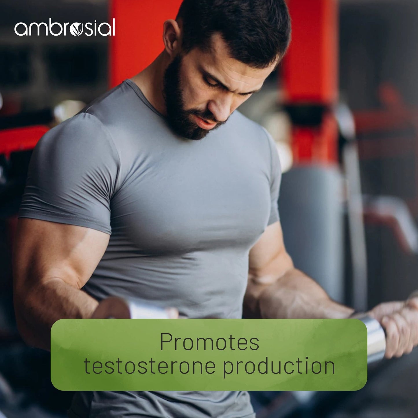 Testoboost Testosterone Booster